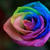 tere