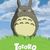 totoro17