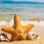 estrella de mar